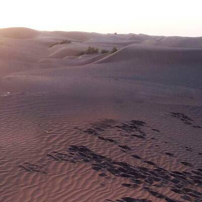 Пустыня «Холован»